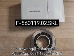 Les roulements différentiels automobiles