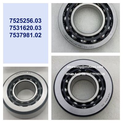 7525256.03, 7531620.03, 7537981.02 BMW Differential Bearing Kit AngularContact Ball Bearings