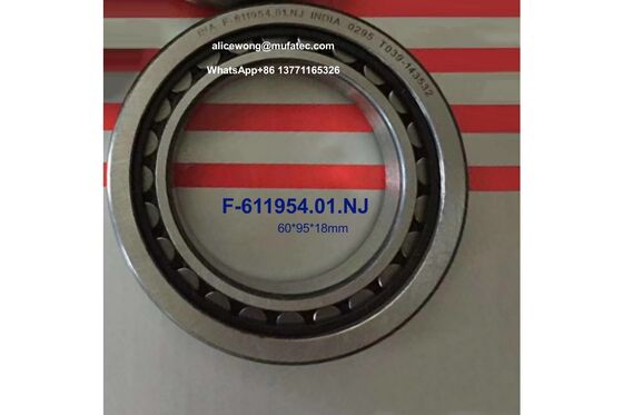 F-611954.01.NJ Automobile bearings wheel bearings 60x95x18mm